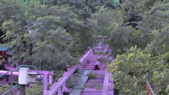 Nanhu Amusement Park